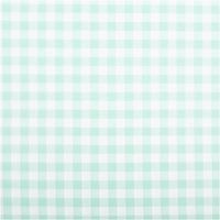 94593-Baumwollstoff-Popeline-Yarn-Dyed-garngefaerbt-Vichy-Karos-mint-weiss-1-44m-Breite-IMG-3521.jpg Garngefärbter Baumwoll-Popeline mit klassischen Vichy-Karos in Mint und Weiß. Die 1,44 m breite Meterware ist hochwertig und ideal für zeitlose Blusen, Hemden oder frische Landhaus-Deko geeignet - Vollansicht