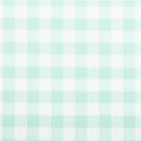 94593-Baumwollstoff-Popeline-Yarn-Dyed-garngefaerbt-Vichy-Karos-mint-weiss-1-44m-Breite-IMG-3522.jpg Garngefärbter Baumwoll-Popeline mit klassischen Vichy-Karos in Mint und Weiß. Die 1,44 m breite Meterware ist hochwertig und ideal für zeitlose Blusen, Hemden oder frische Landhaus-Deko geeignet - Nahaufnahme
