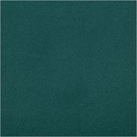94722-Royal-Micro-Satin-Stoff-Meterware-Waldgruen-1-40m-Breite-IMG-3953.jpg Royal Micro Satin Meterware in tiefem Waldgrün, 1,40 m breit – seidig glatte Oberfläche mit sattem Glanz und edler Tiefenwirkung, als Rolle fotografiert, zeitlos elegant für Mode und Dekoration - Nahaufnahme