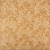Baumwoll-Popeline „Vintage Washed", 1,40 m breit, in warmem Beige mit feinen weißen Pünktchen und wolkigem Used-Look – natürlich, zeitlos und vielseitig für Mode oder Dekorationsprojekte - Vollansicht
