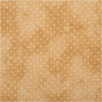 94964-Baumwollstoff-Popeline-Stoff-Puenktchen-Serie-Vintage-Washed-Beige-1-40m-Breite-IMG-5523.jpg Baumwoll-Popeline „Vintage Washed", 1,40 m breit, in warmem Beige mit feinen weißen Pünktchen und wolkigem Used-Look – natürlich, zeitlos und vielseitig für Mode oder Dekorationsprojekte - Nahaufnahme