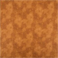 94968-Baumwollstoff-Popeline-Stoff-Puenktchen-Serie-Vintage-Washed-Braun-1-40m-Breite-IMG-5514.jpg Baumwoll-Popeline „Vintage Washed", 1,40 m breit, in warmem Braun mit feinen Pünktchen in Ton-in-Ton und wolkigem Used-Look – erdig, zeitlos und vielseitig für Mode oder Dekorationsprojekte - Vollansicht