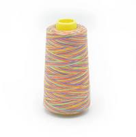 Overlock Nähgarn 2700m Multicolor Fb 107