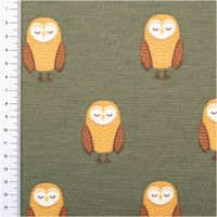 95654-Dekostoff-Kinderstoff-Halbpanama-Night-Owl-Nap-Eulen-oliv-braun-1-40m-Breite-95654-3.jpg