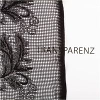 Paillettenstoff Ornamente Spitze silber schwarz 1,25m Breite schwarze Spitze mit silbernen Pailletten, Netzstruktur, transparenter Stoff im Anschnitt auf weißem Grund