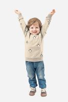 Sweat Stoff angeraut Pinguine beige in der Nahaufnahme