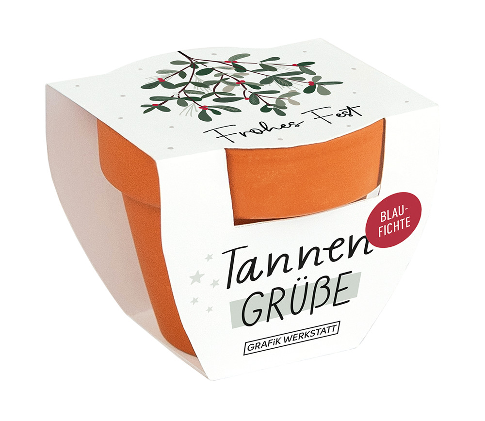 Tannengrüße Blaufichte Topf Frohes Fest weiß grün Kleiner Tontopf Tannengrüße Blaufichte mit weihnachtlicher Banderole in weiß, grün, Gesamtansicht