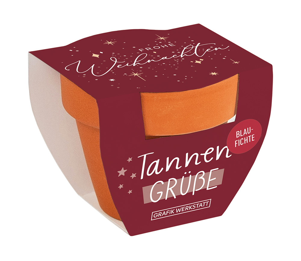 Tannengrüße Blaufichte Topf Frohe Weihnachten Sterne bordeaux gold Kleiner Tontopf Tannengrüße Blaufichte mit weihnachtlicher Banderole in bordeaux, gold, Gesamtansicht