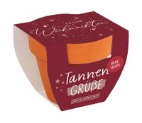 Tannengrüße Blaufichte Topf Frohe Weihnachten Sterne bordeaux gold Kleiner Tontopf Tannengrüße Blaufichte mit weihnachtlicher Banderole in bordeaux, gold, Gesamtansicht