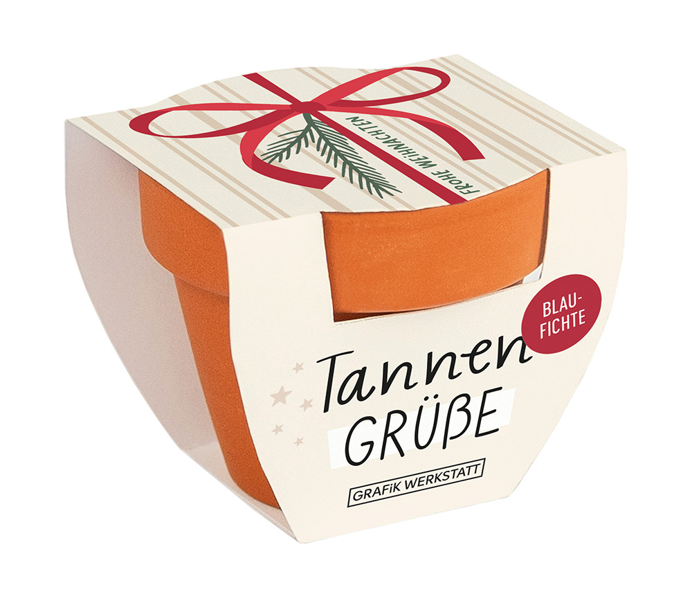 Tannengrüße Blaufichte Topf Frohe Weihnachten Schleife creme rot Kleiner Tontopf Tannengrüße Blaufichte mit weihnachtlicher Banderole in creme, rot, Gesamtansicht