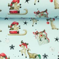 Stoffballen Sweatstoff Winterwonderland Rentiere hellmint bunt, 150 cm breit, Meterware Stoffballen Sweatstoff Winterwonderland Rentiere hellmint bunt, 150 cm breit, Meterware