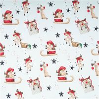 Sweatstoff angeraut Winterwonderland Rentiere hellmint bunt von Swafing 1,50m Breite Sweatstoff mit bunten Rentieren und Sternen auf hellmintfarbenem Hintergrund, Nahaufnahme des Motivs