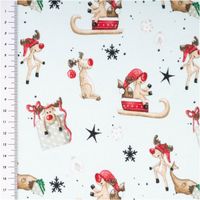 Sweatstoff angeraut Winterwonderland Rentiere hellmint bunt von Swafing 1,50m Breite Sweatstoff mit winterlichen Rentieren in rot und braun, hellmintfarbener Hintergrund mit Schneeflocken und Sternen, mit