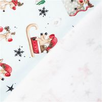 Sweatstoff angeraut Winterwonderland Rentiere hellmint bunt von Swafing 1,50m Breite Sweatstoff mit Rentieren und Schneeflocken, Vorder- und Rückseite sichtbar, Motiv auf hellmintfarbenem Grund